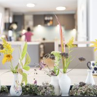 Einblicke in die Hospizarbeit